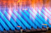 Onneley gas fired boilers